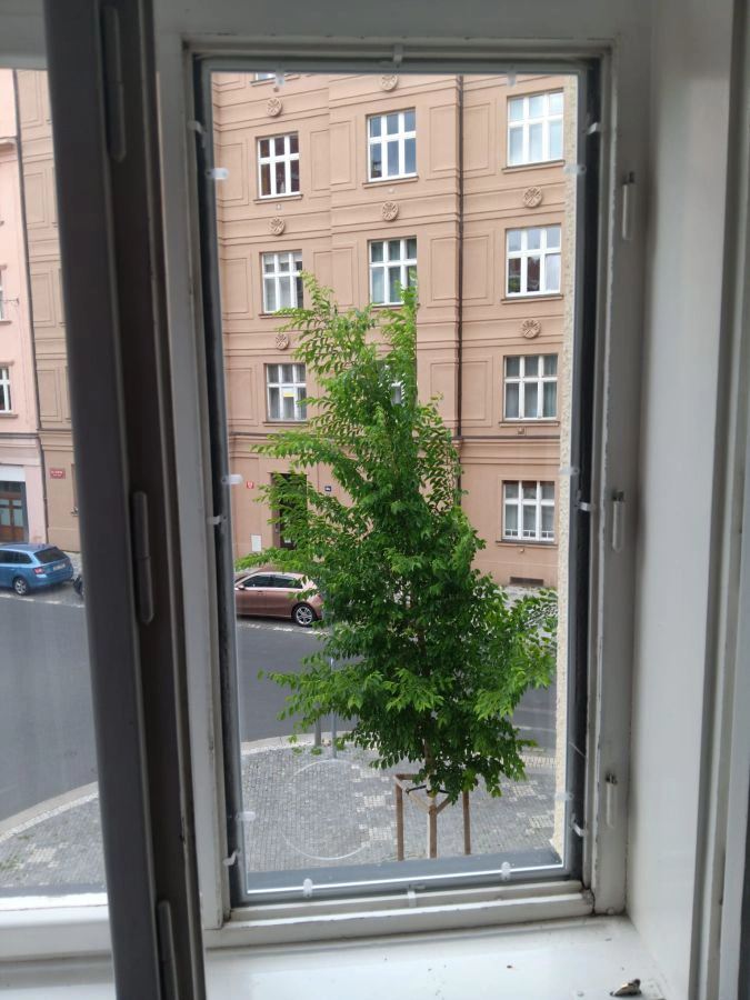 Plexi vložka v kastlíkovém okně